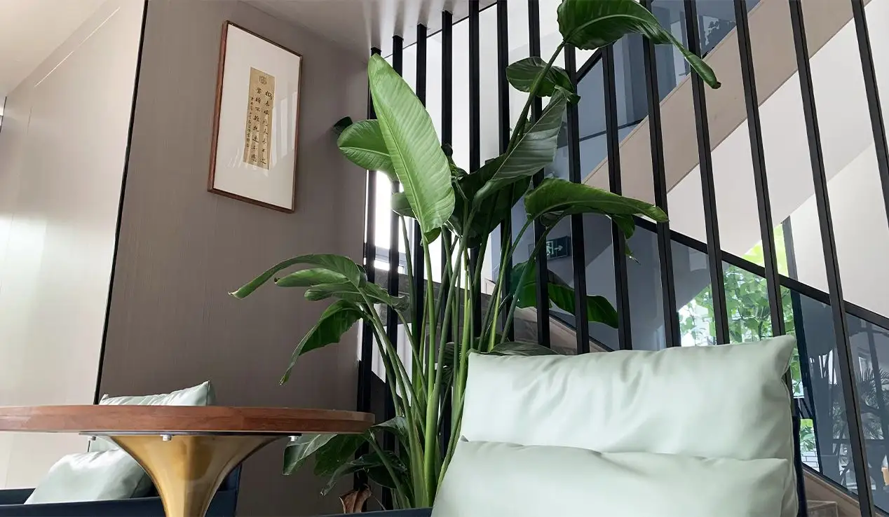 Company Sales Center